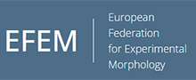 EFEM